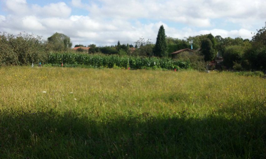 Finca edificable en Poreño   VILLAVICIOSA  (FIN