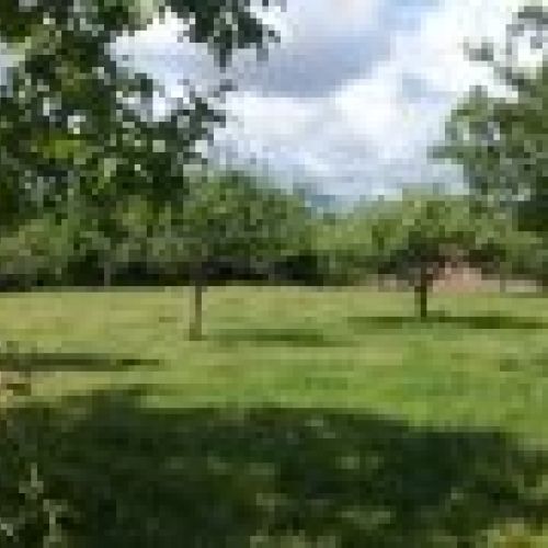 2 Fincas edificables en Selorio   VILLAVICIOSA  (FIN