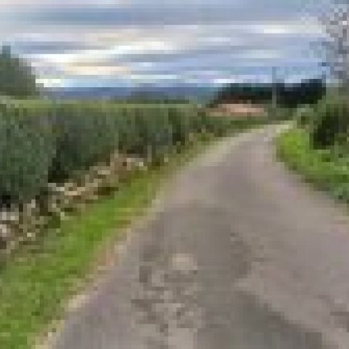 3 Fincas NO edificables en Tazones VILLAVICIOSA  (FIN