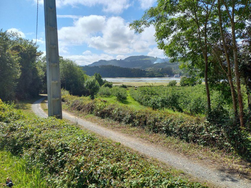 2 Fincas edificables en El Puntal   VILLAVICIOSA  (FIN