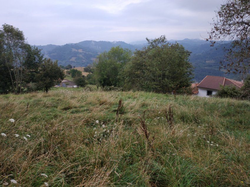 be185e3a04ce4cc6367e458aadbe5eacfc455feb