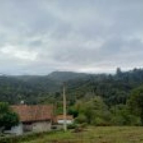 Finca edificable en CABRANES  (FIN