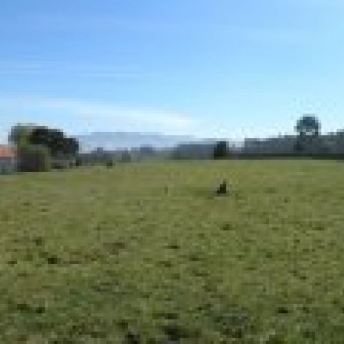 Venta de Fincas Edificables en OLES (VILLAVICIOSA)