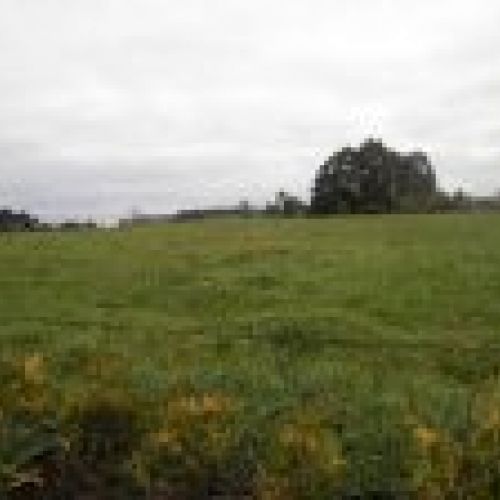 prodsec 185916