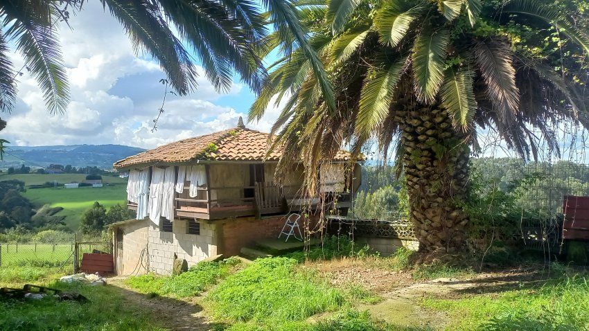 Casa de piedra con Cuadras y Llagar para reformar en Quintueles VILLAVICIOSA (REAB