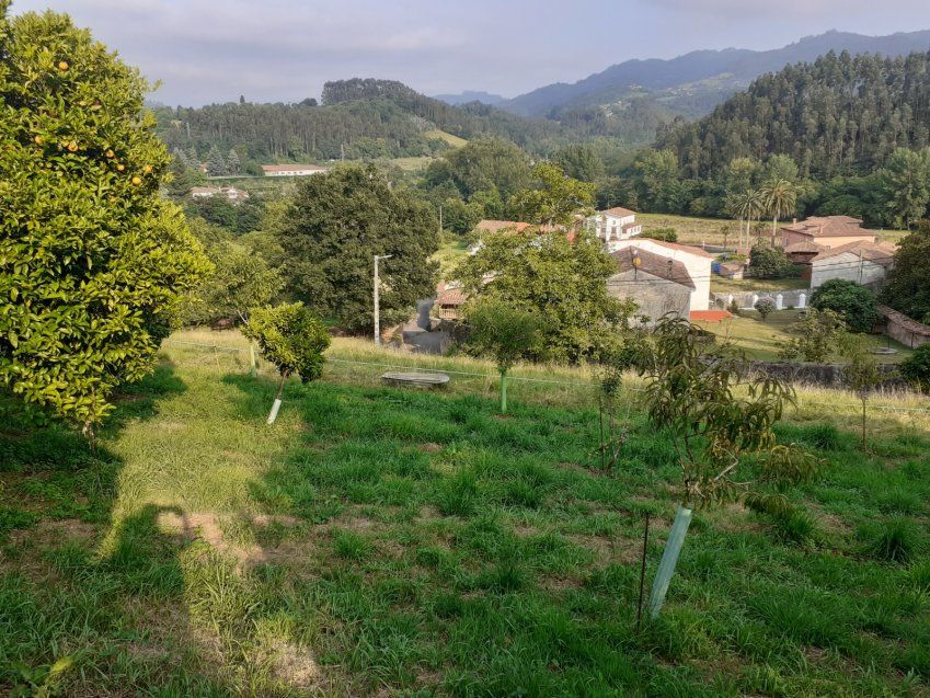 Casona de estilo indiano en VILLAVICIOSA  (CAS