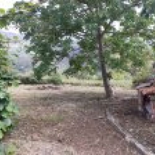 Casa de piedra para reformar en VILLAVICIOSA  (REAB