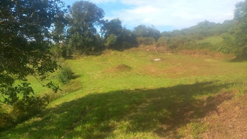 Finca edificable en El Puntal   VILLAVICIOSA (FI