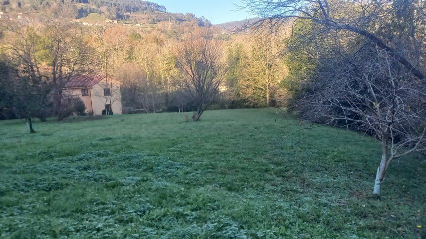 Finca edificable en Valdediós   VILLAVICIOSA  (FIN.0166)