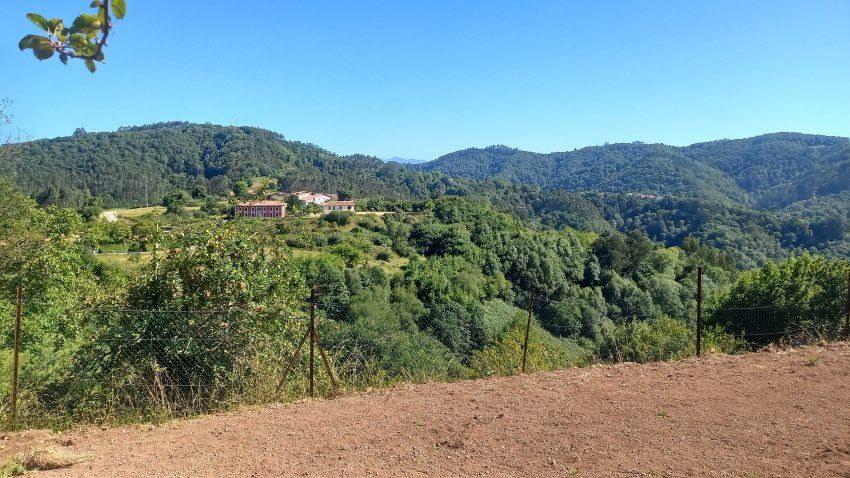 Finca Edificable y Llagar de piedra en VILLAVICIOSA  (FIN