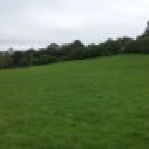 Finca edificable en VILLAVICIOSA  (FIN