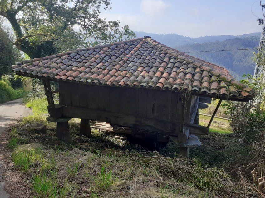 Hórreo con finca en VILLAVICIOSA  (REAB
