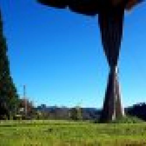 img 20250729 wa0005