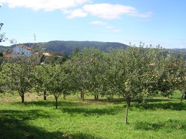 DSCN7146