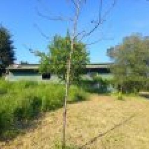 Finca edificable de 3