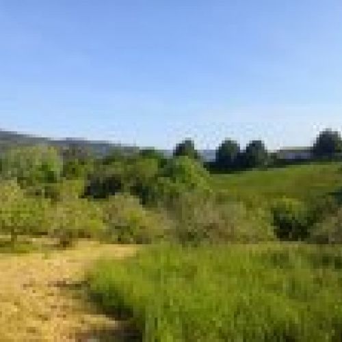 Finca edificable de 3