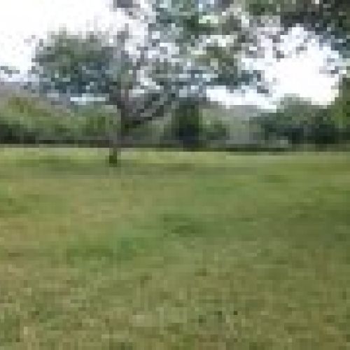 2 Fincas edificables en Selorio   VILLAVICIOSA  (FIN