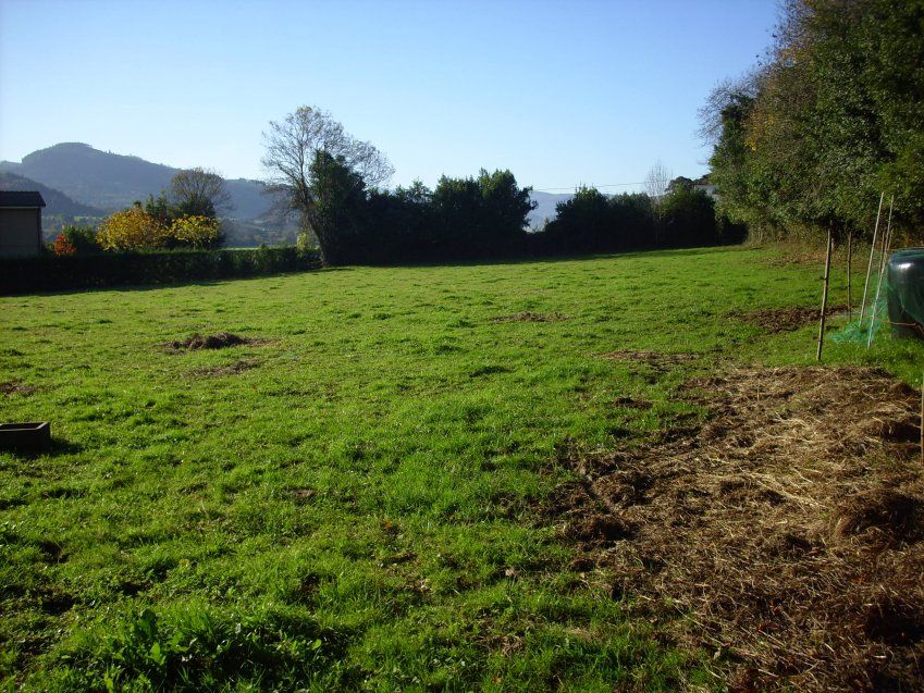img 0001