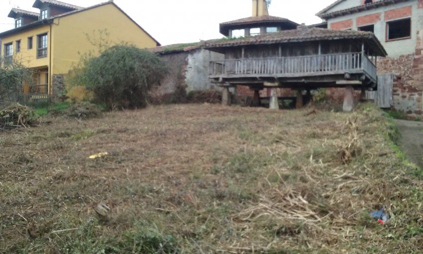 Finca edificable con Panera en Villaviciosa  (FIN