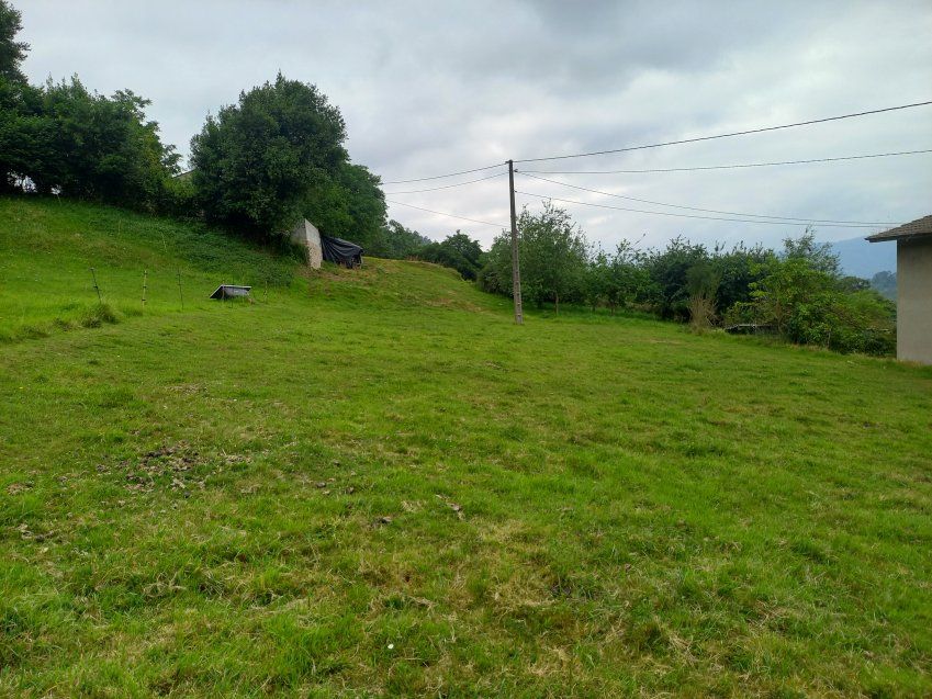 4359b80444bf4e15027108e886cf2aa7de2ef332