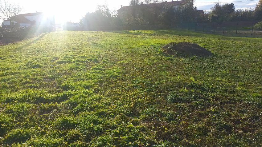 Finca edificable en Oles VILLAVICIOSA (FIN
