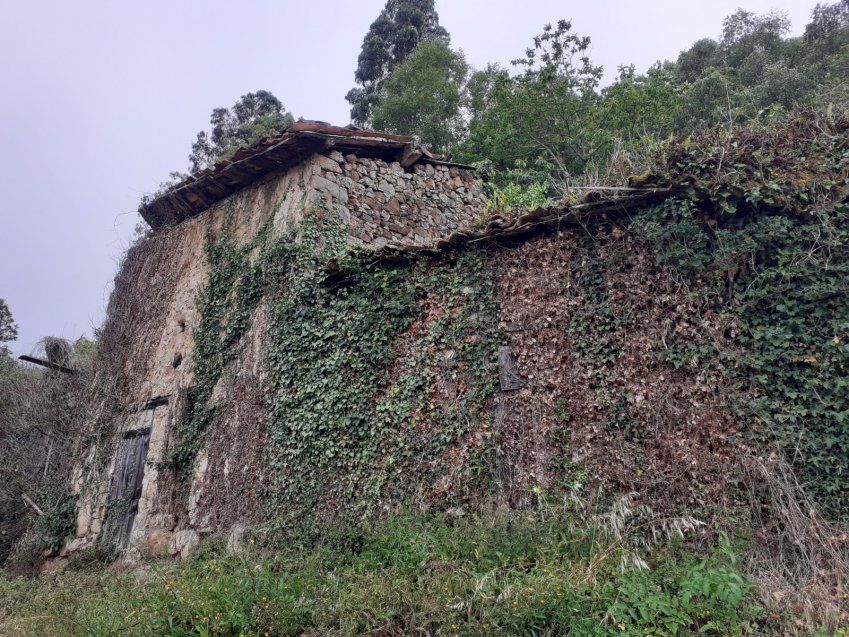 Casa, Cuadra y Llagar para rehabilitar en VILLAVICIOSA  (REAB