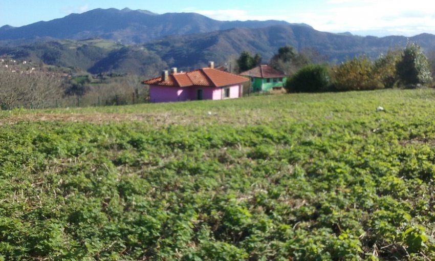 Finca edificable con una superficie de 970m2