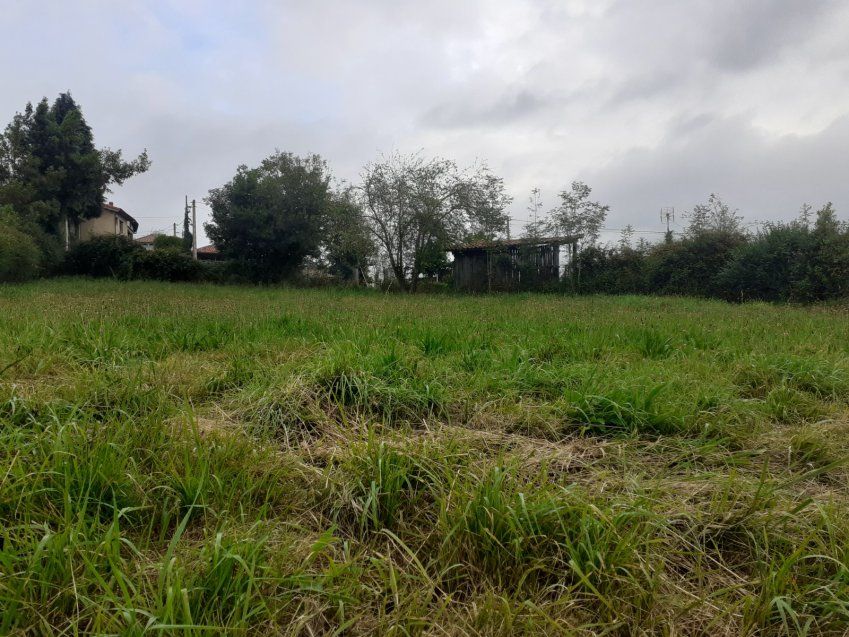 ce8a36d0c885014a97ed72674bf6464c706f46d4