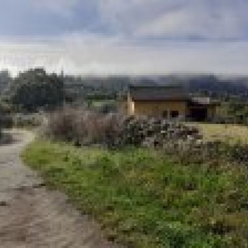 Finca edificable y parcelable en Pintueles   PILOÑA  (FIN