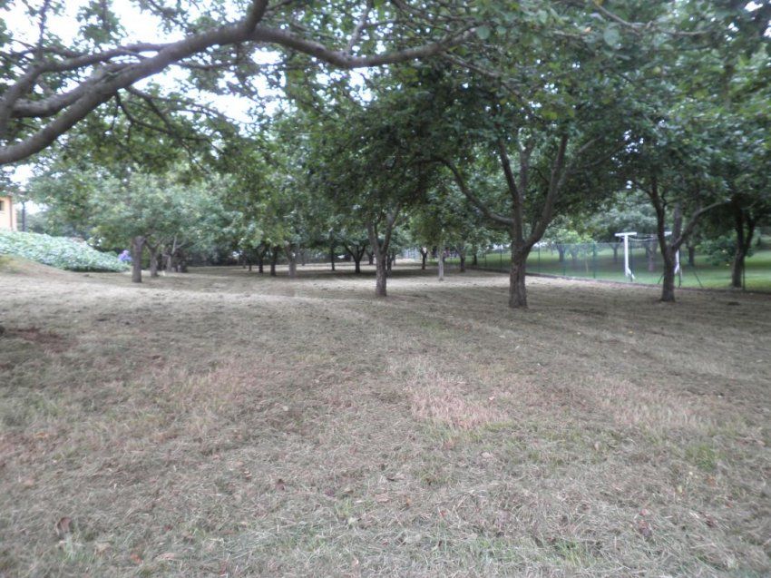 e47c0b0ccbb2979badc55242db8f89feed4912fc