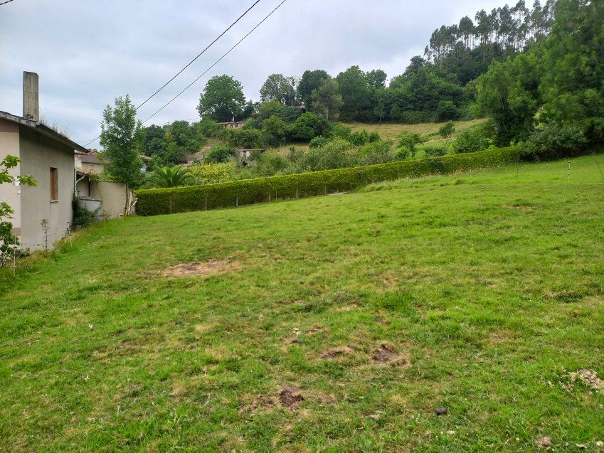 Finca edificable en CABRANES  (FIN