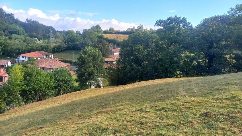 Finca edificable en VILLAVICIOSA  (FIN