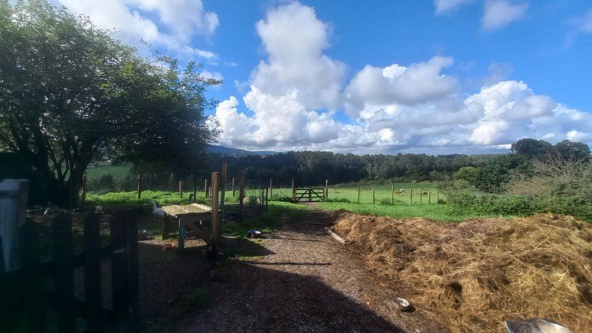 Casa de piedra con Cuadras y Llagar para reformar en Quintueles VILLAVICIOSA (REAB