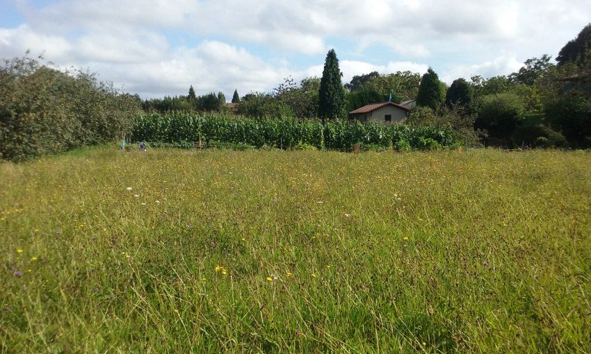 Finca edificable en Poreño   VILLAVICIOSA  (FIN
