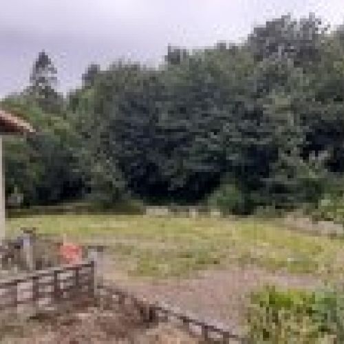 Finca edificable y Cuadra en CABRANES  (FIN