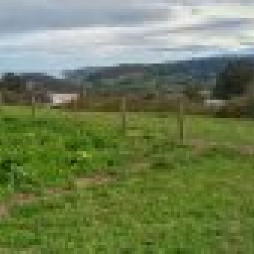 3 Fincas NO edificables en Tazones VILLAVICIOSA  (FIN