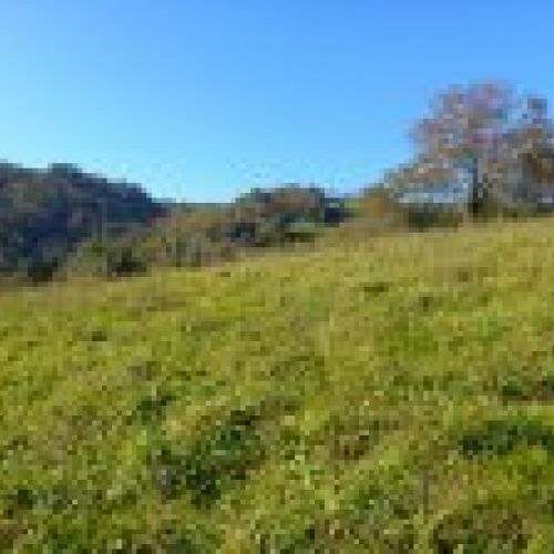 Finca edificable en CABRANES  (FIN