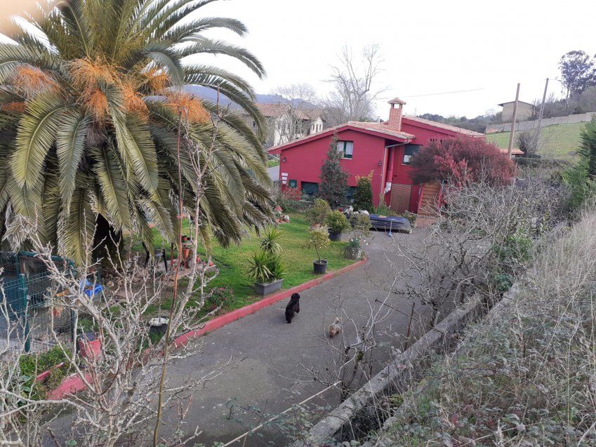 Casa 2 plantas a 2kms