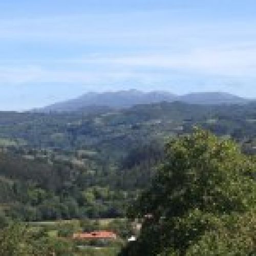 Venta de finca edificable en Villaviciosa  (FIN