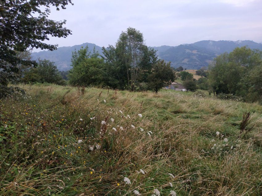 cca1cf6e5c52270481bcd538e75b55ef65d5606f