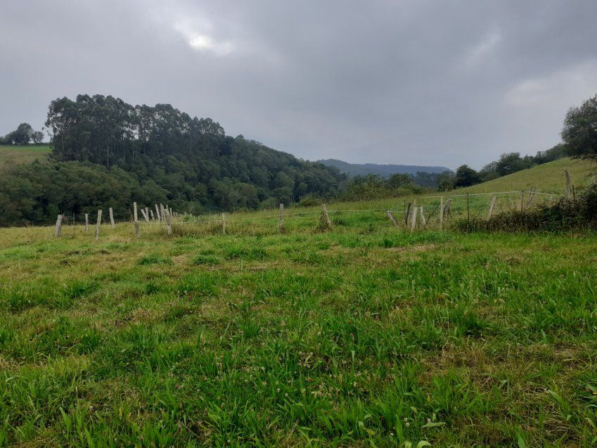 ae930e5c33c29dcef1b82ab9bf82b5ce6c566e7d