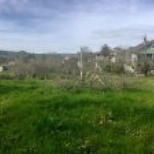 Finca edificable en Selorio   VILLAVICIOSA  (FIN