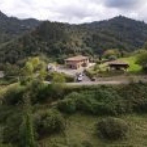 Casona de piedra rehabilitada en CABRANES  (CAS