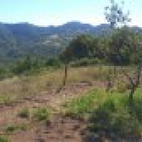 Llagar de piedra para cambio de uso a vivienda en VILLAVICIOSA  y Finca Edificable (REAB