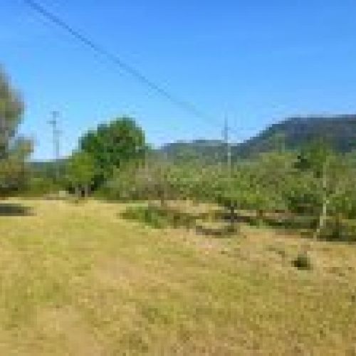 Finca edificable de 3