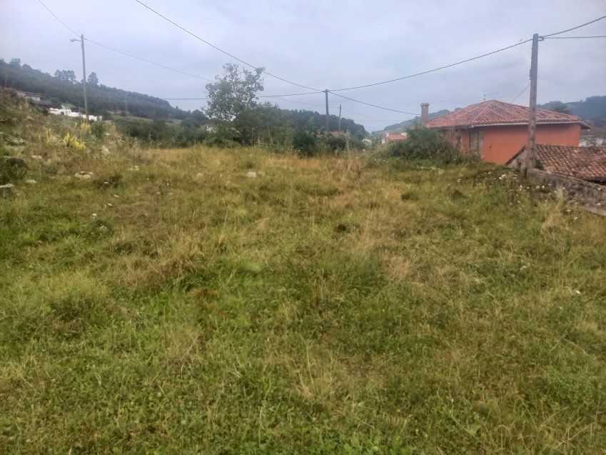 Finca Edificable en El Puntal   VILLAVICIOSA  (FIN