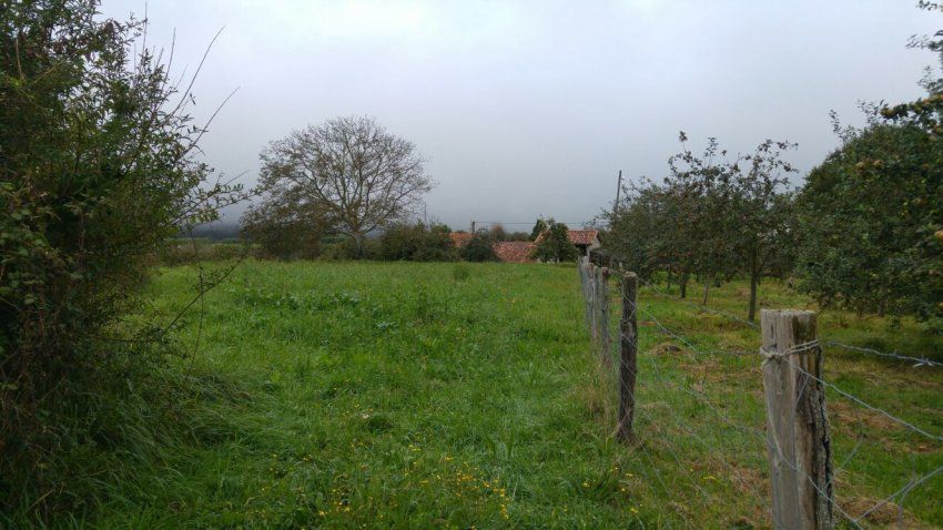 img 20240715 wa0013