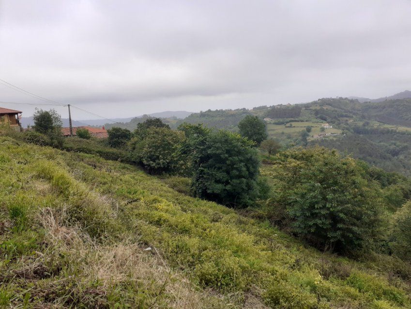 740821ece1a20925d7f5356bca97a5aceffd23fe