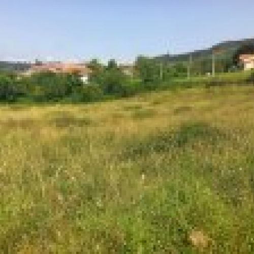 Finca edificable en zona de Selorio   VILLAVICIOSA  (FIN