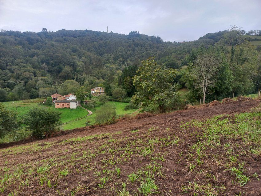 Finca edificable en CABRANES